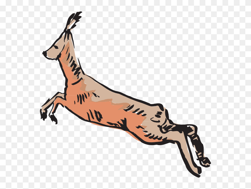 Antelope Jumping Clip Art - Antelope - Png Download