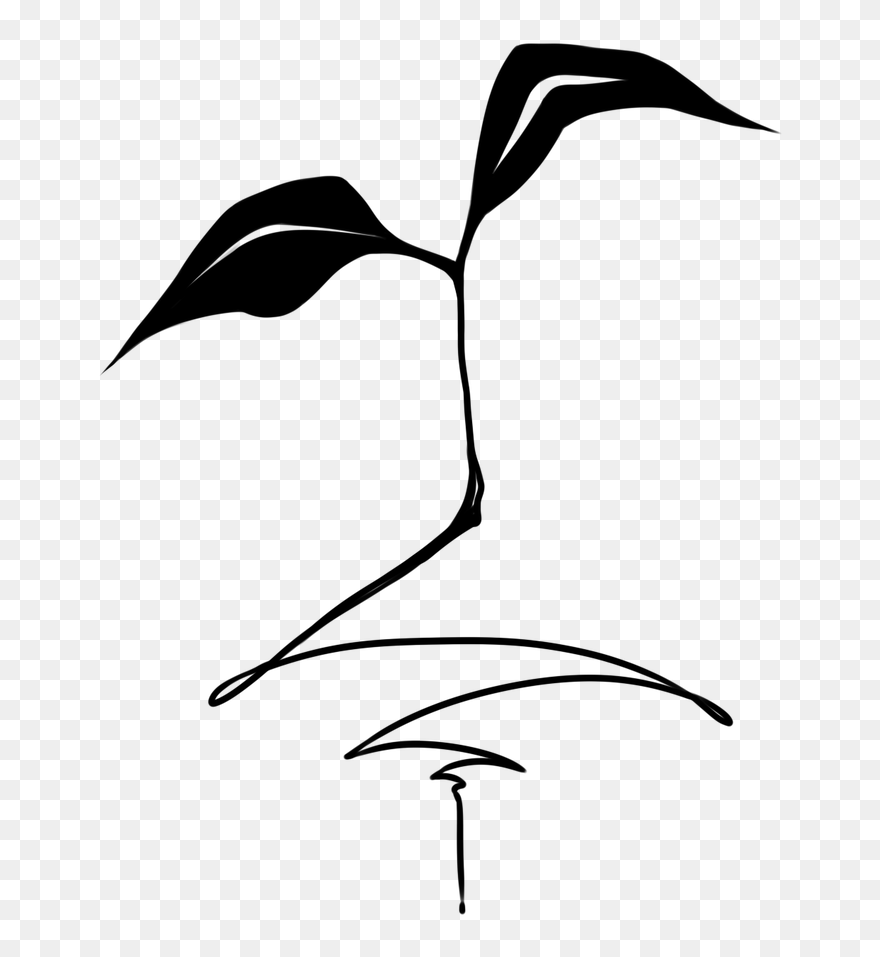 Clip Art - Png Download