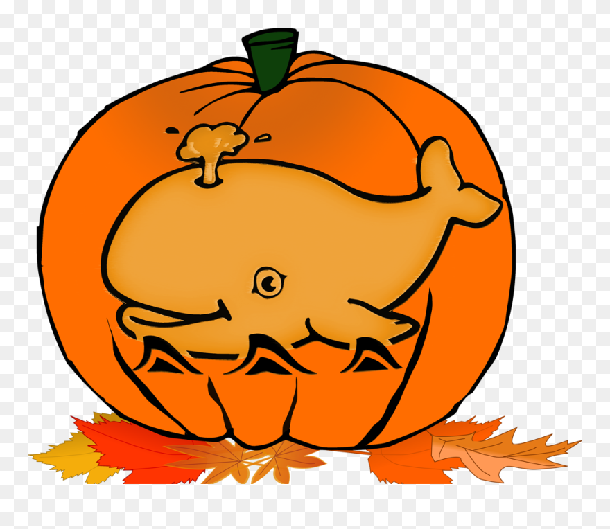 Transparent Fall Festival Clipart - Whale Cute Coloring Pages - Png Download