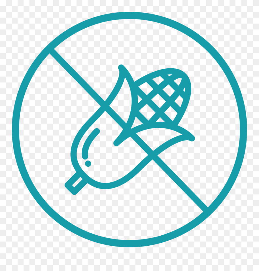 Imagem De Relogio Sem Fundo Clipart