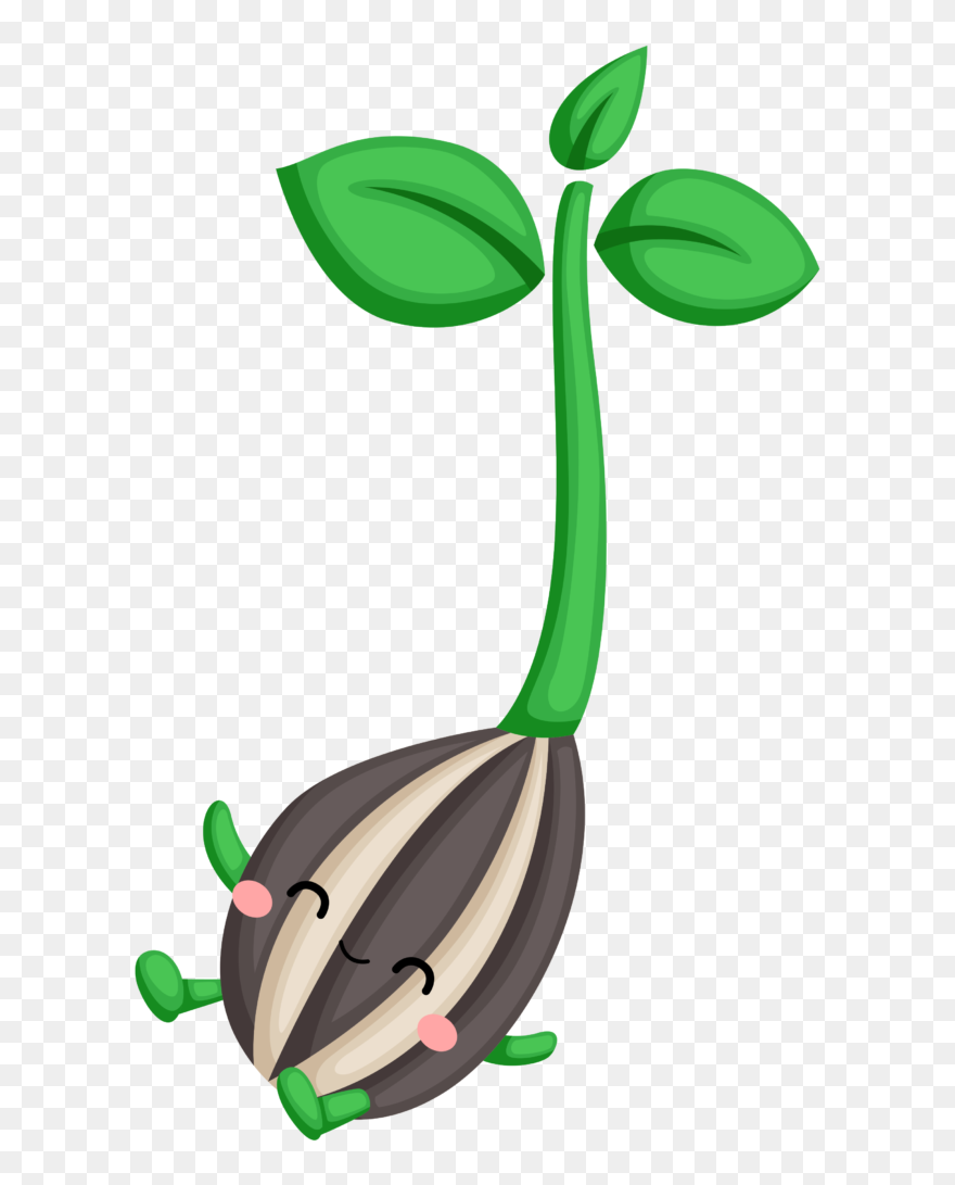 Clip Art - Png Download