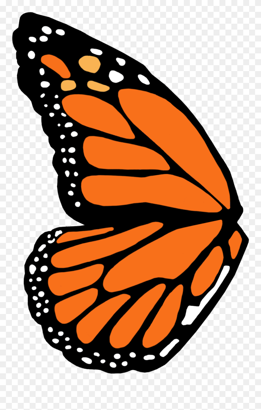 Monarch Butterfly Wing Template Clipart