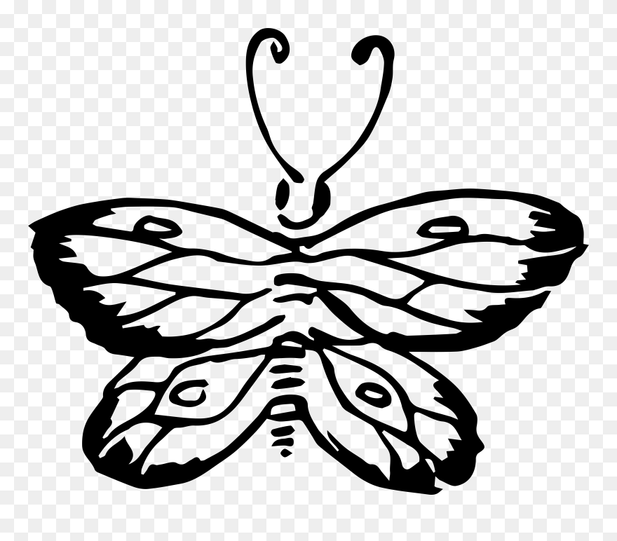 Brush-footed Butterfly Clipart