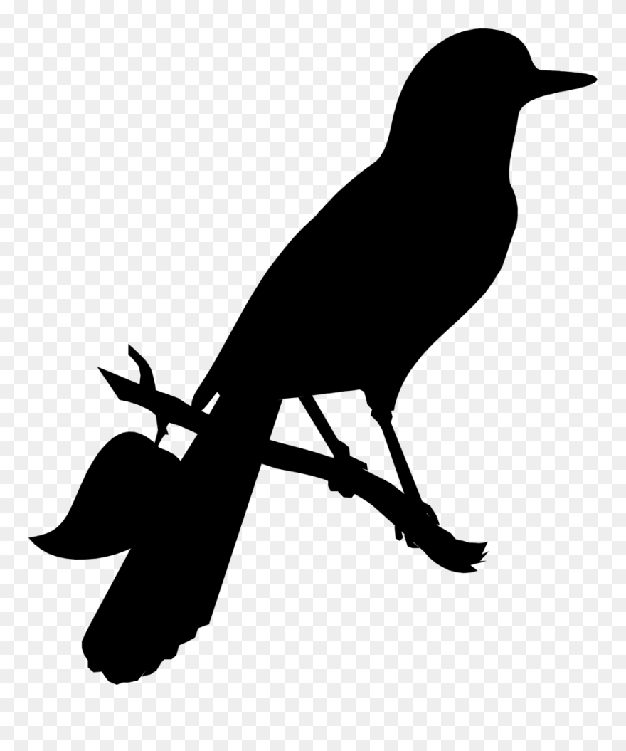 American Crow Clip Art Advertising Fauna Silhouette - Mockinbird Transparent - Png Download