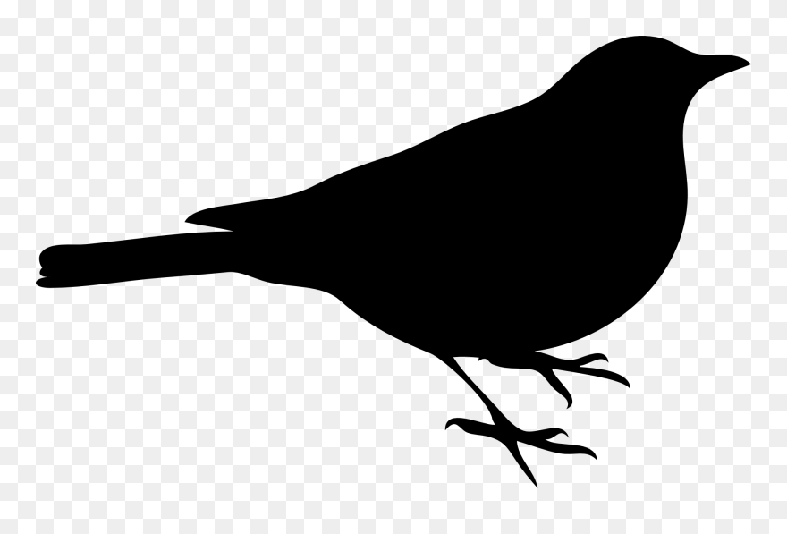 Clip Art Owl Bird Image Vector Graphics - Blackbird Drawing - Png Download