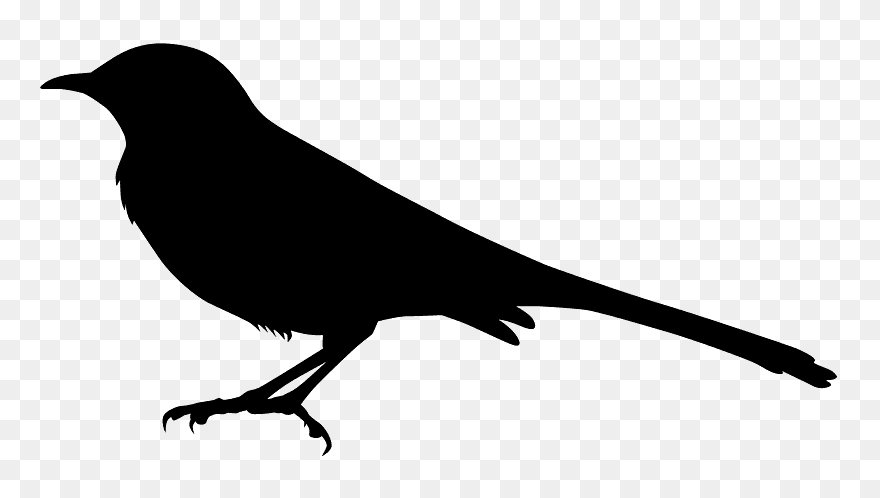 Silhouette Of A Mockingbird Clipart