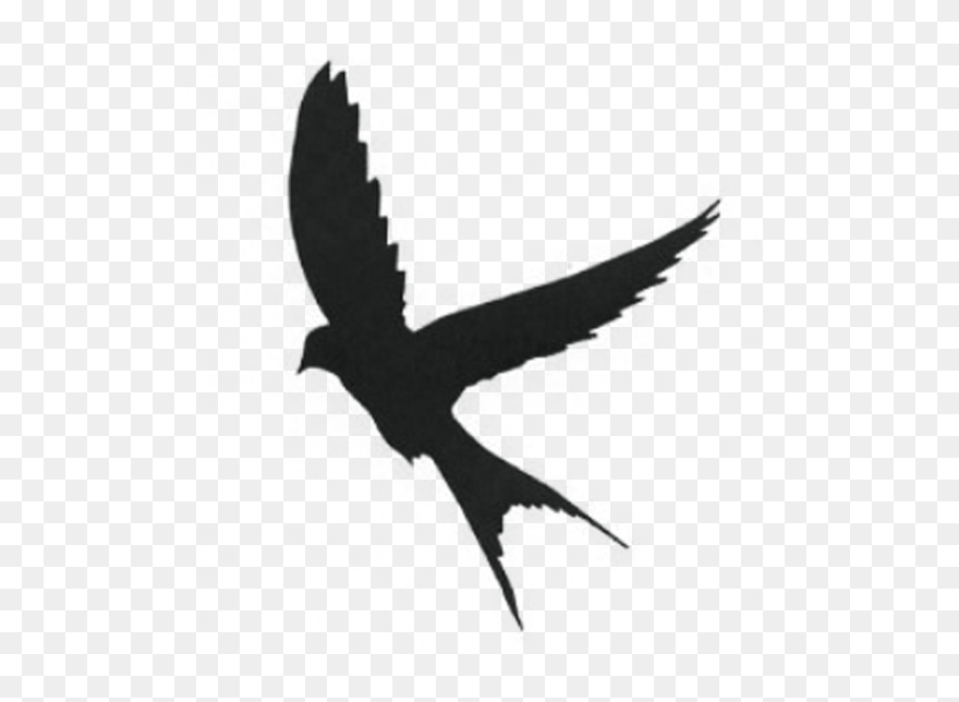 Silhouette Mockingbird Swallow - Mockingbird Silhouette Clipart