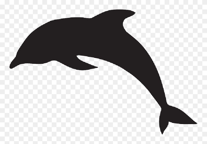 Water, Silhouette, Dolphin, Jumping, Animal, Fins - Dolphin Clipart Black - Png Download