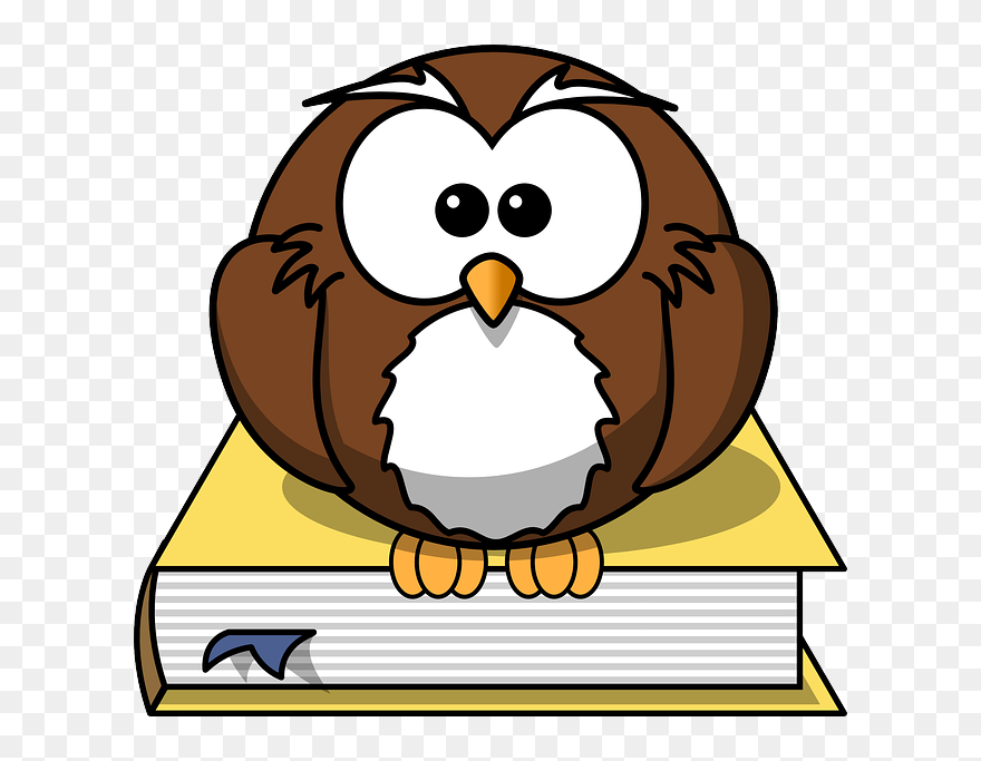 Cryptozoological Nature Journaling For Kids - Cartoon Owl Clipart