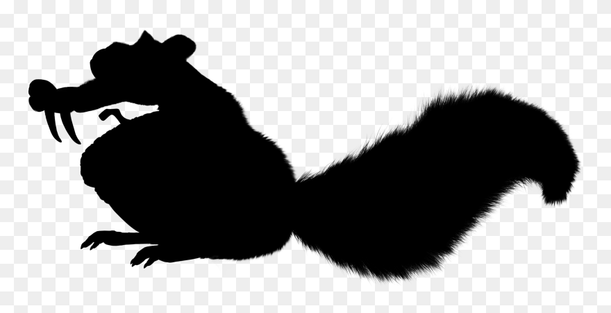 Maine Coon Persian Cat Kitten Raccoon Clip Art - Maine Coon - Png Download