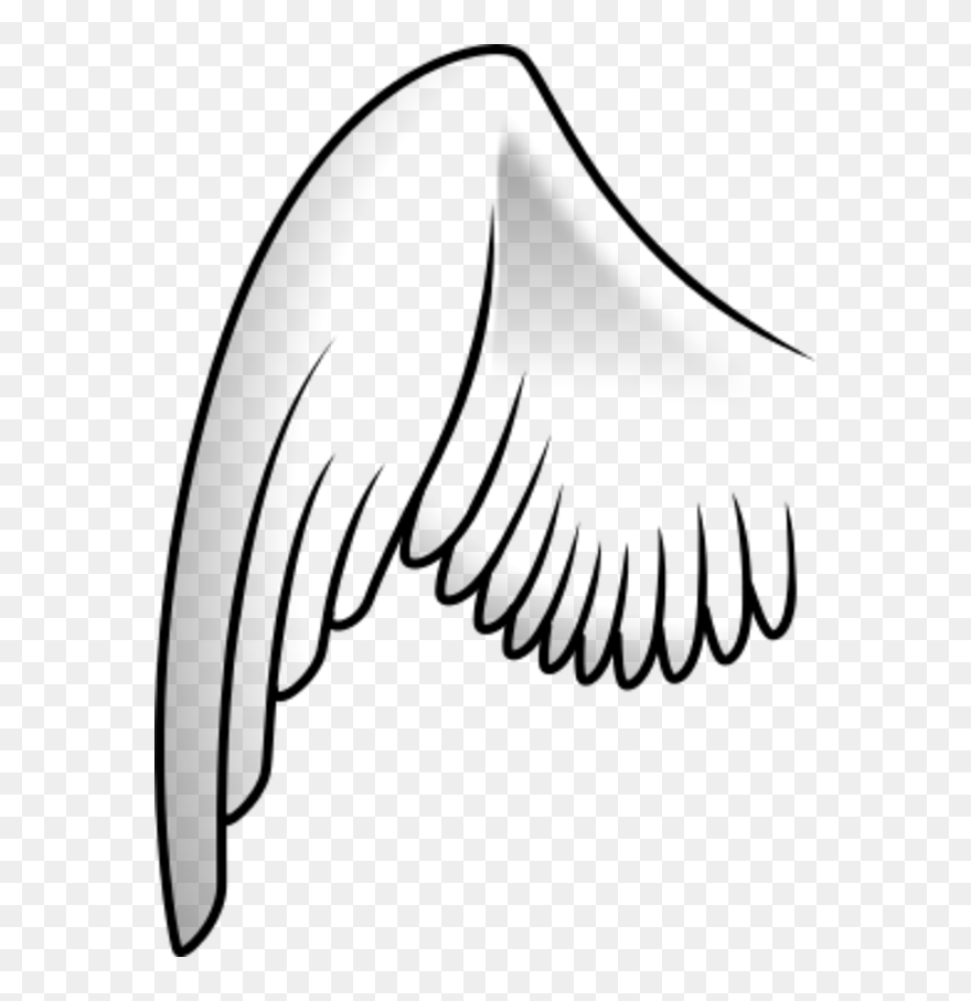 Angel Wings Drawing Outline - Wings Clipart - Png Download