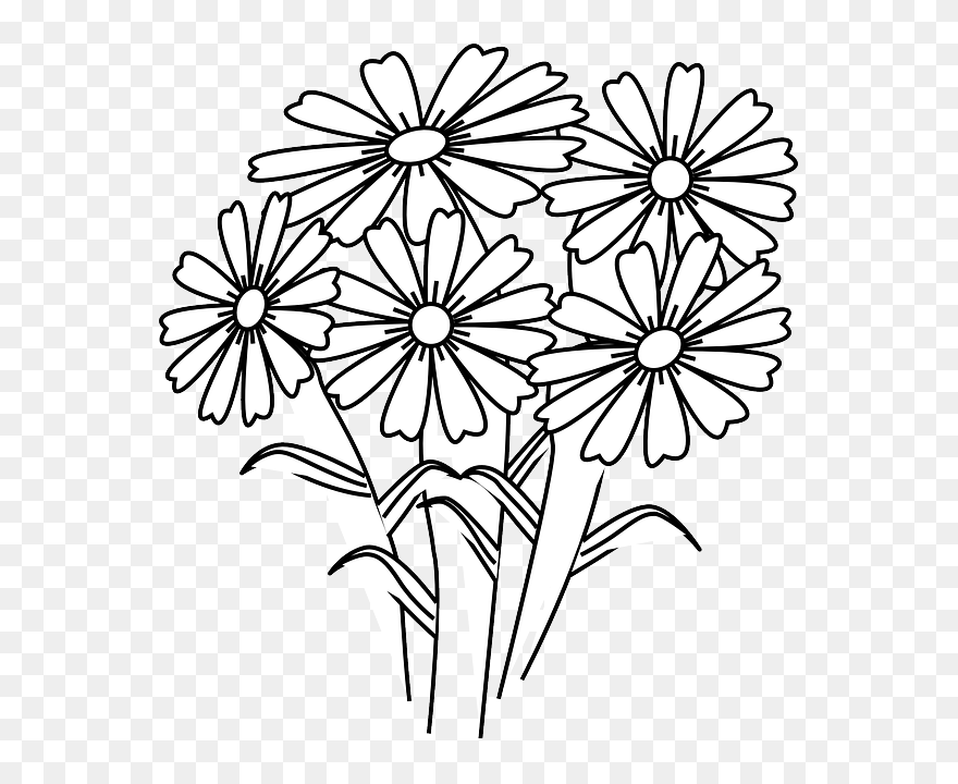 Flower Daisies Bunch - Drawing Of Flower Composition Clipart