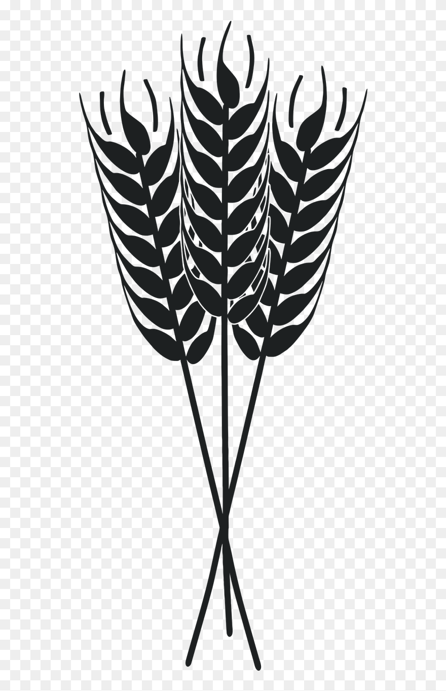 Wheat Clipart