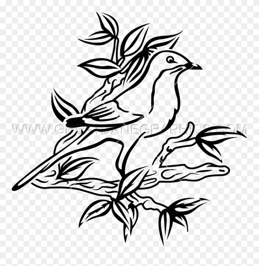 Drawing Of To Kill A Mockingbird Clipart