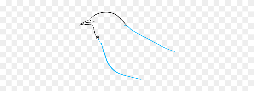 How To Draw Mockingbird - Drawing Clipart