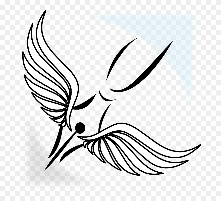 Book And Pen Png Clipart