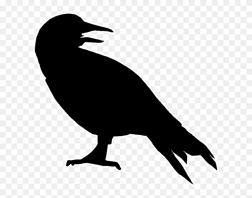 Canary Silhouette Png Download Morrigan Crow Illustrations - Silueta Canario Png Clipart