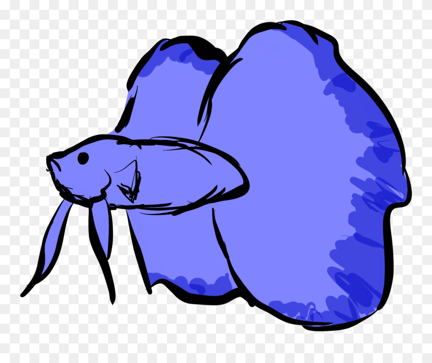 Transparent Betta Fish Png Clipart