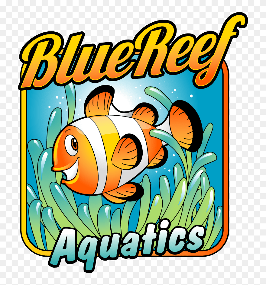 Coral Reef Fish Clipart