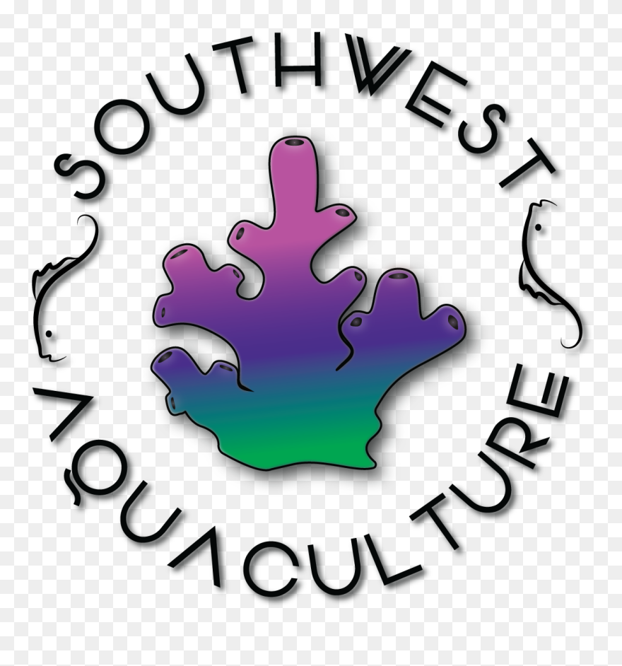 Graphic Design Clipart