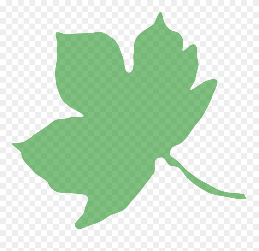 Forest School Handbook Clipart