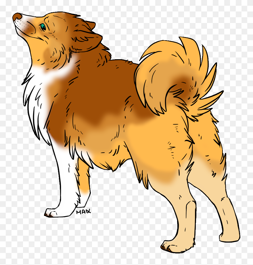 Companion Dog Clipart