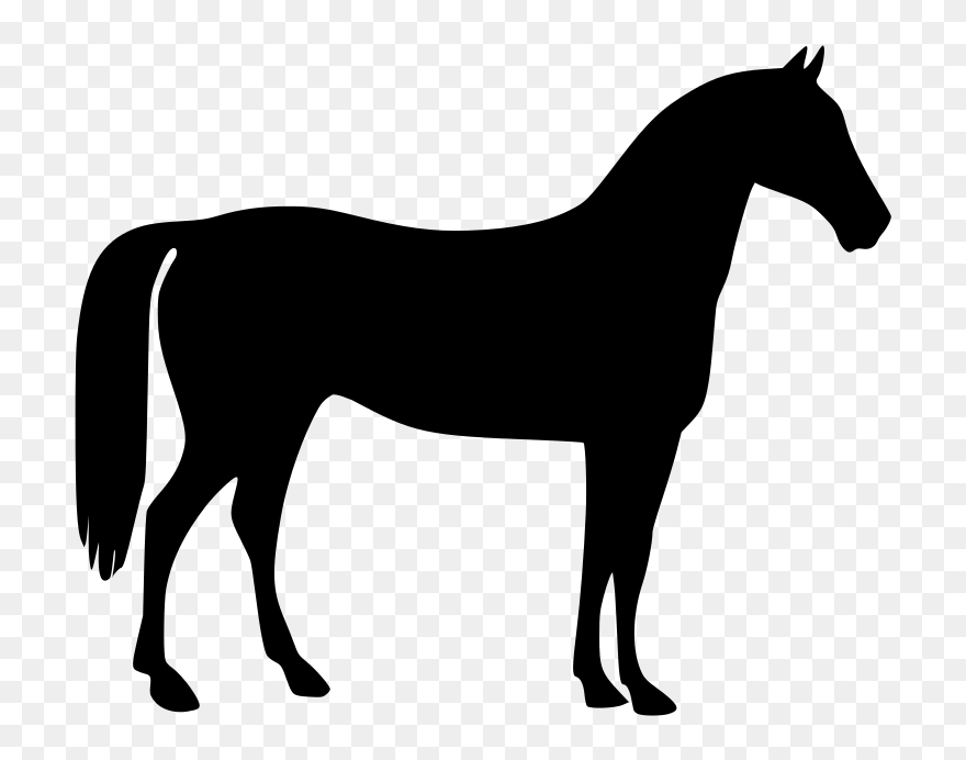 Mustang Stallion Clip Art - Horse Vector - Png Download