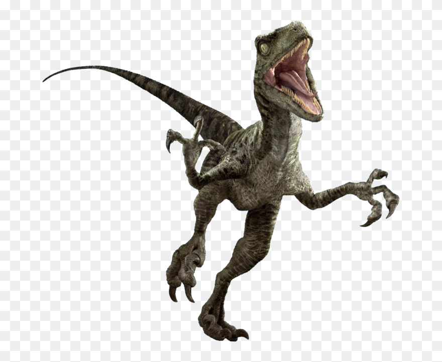 Collection Of Free Velociraptor Drawing Jurassic Park - Jurassic World Velociraptor Charlie Clipart