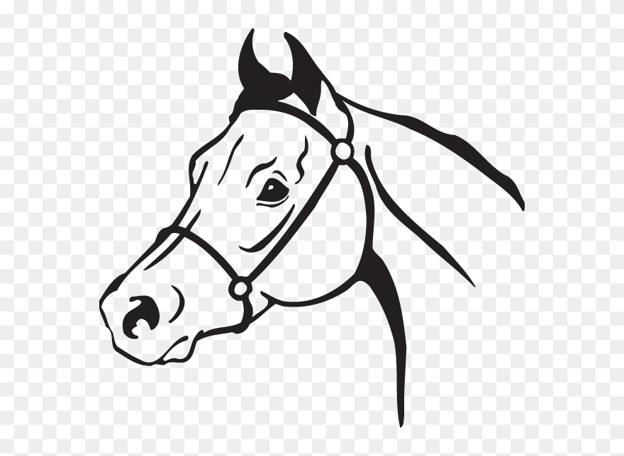 Clip Art American Quarter Horse Openclipart Arabian - Simple Horse Head Clip Art - Png Download