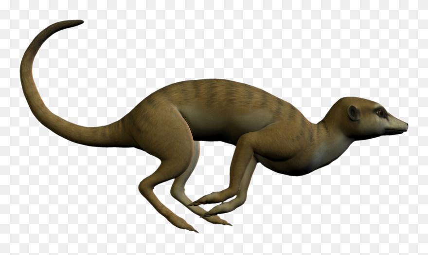 Free High Resolution Graphics And Clip Art - Clip Art - Png Download