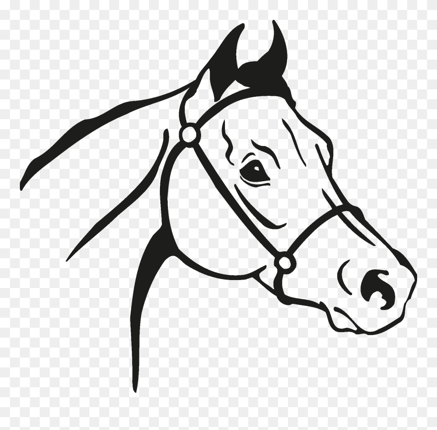 Arabian Horse Mustang Clip Art Vector Graphics Stallion - Arabian Horse Silhouette Transparent - Png Download