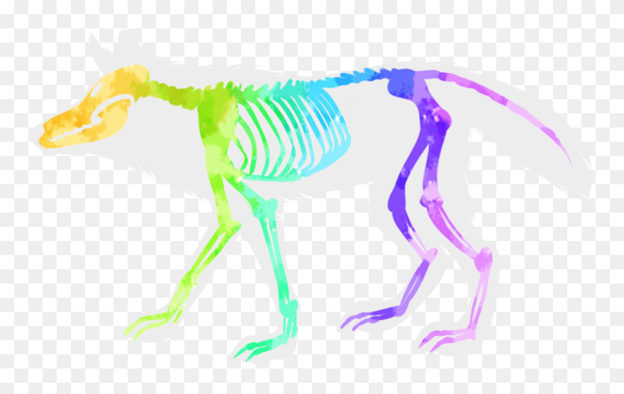 Velociraptor Character Animal Fiction - Bones Of A Wolf Clipart