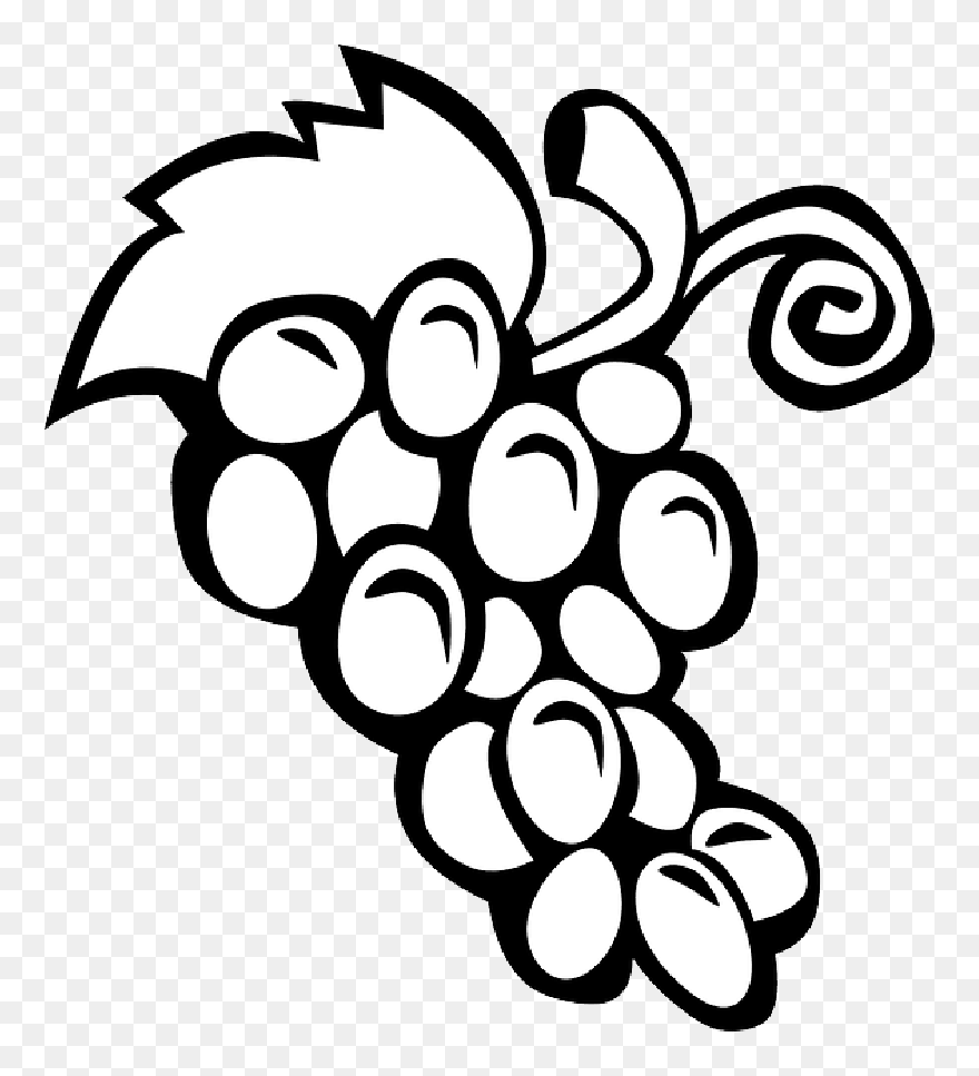 Black, Simple, Food, Fruit, Wine, Grapes, Outline - Black And White Clipart Of Grapes - Png Download