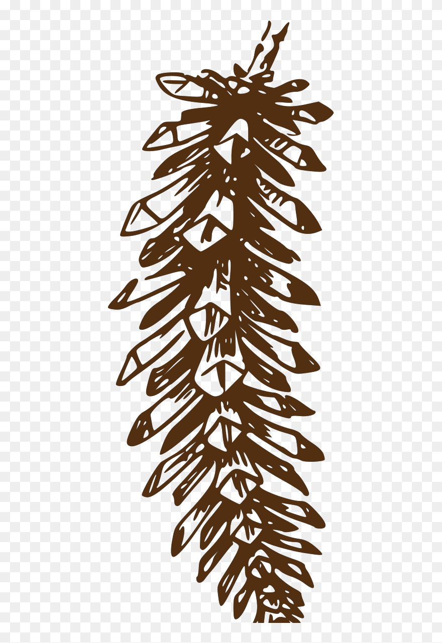 Pine Cone Clip Art - Png Download