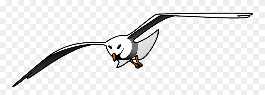 Bird Seagull Flying Free Photo - Cute Seagull Clipart Black And White - Png Download