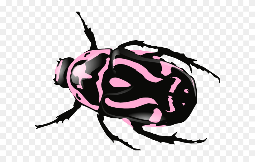Transparent Bullfighting Clipart - Bug Black And White - Png Download