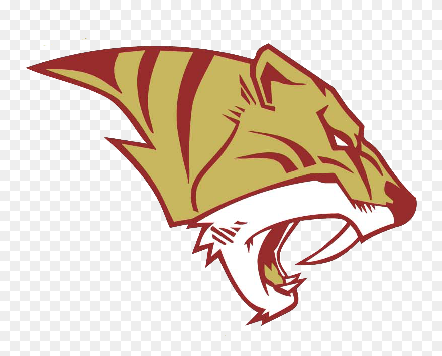 Transparent Pep Rally Clipart - Tucker High School Tigers - Png Download