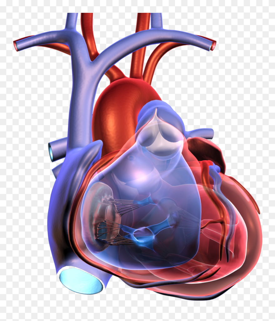 Meatloaf Clipart Transparent - Heart Disease Png