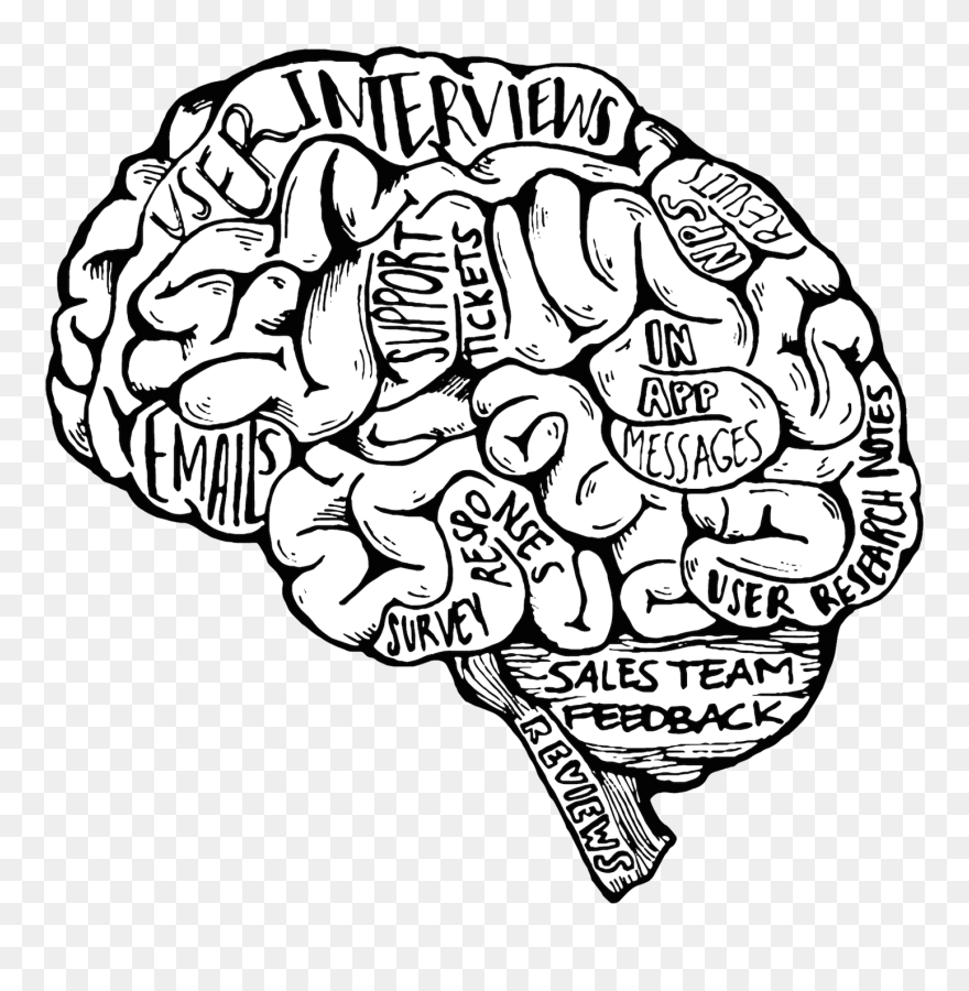 Transparent Brain Drawing Png - Meaningful Top Pencil Drawings Clipart
