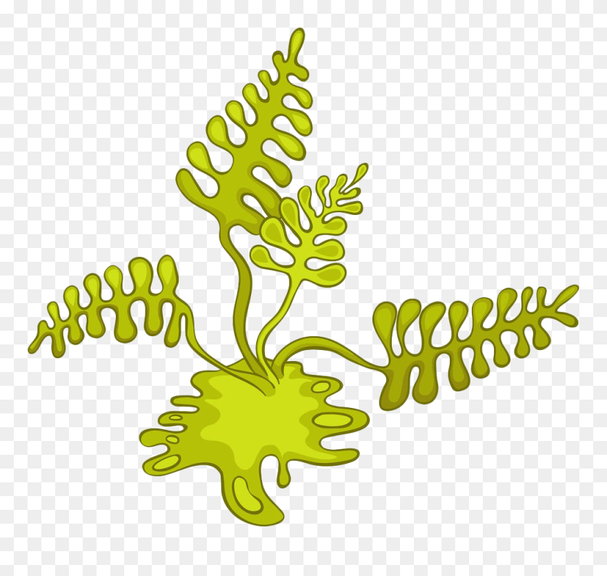 Algae Cartoon Photography Clip - Blue Green Algae Cartoon - Png Download