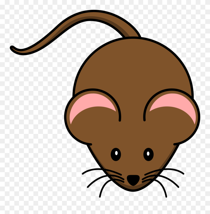 Transparent Background Rat Clipart - Png Download