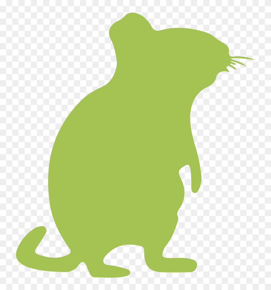 Other Rodents » - Rat Clipart