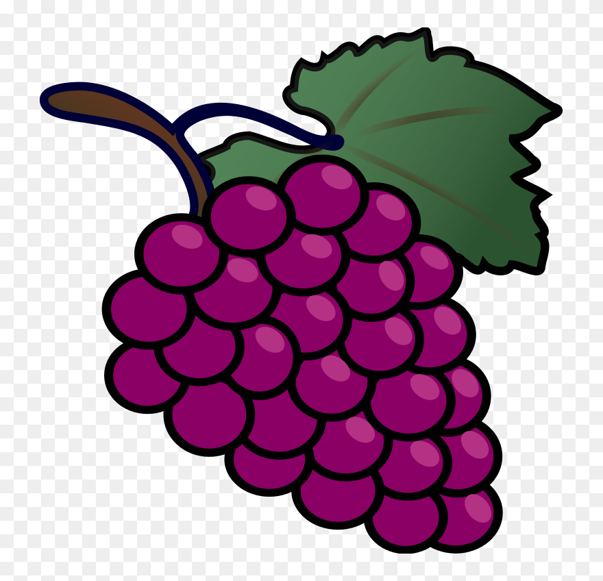 Tux Paint Grapes - Grapes Drawing Clipart