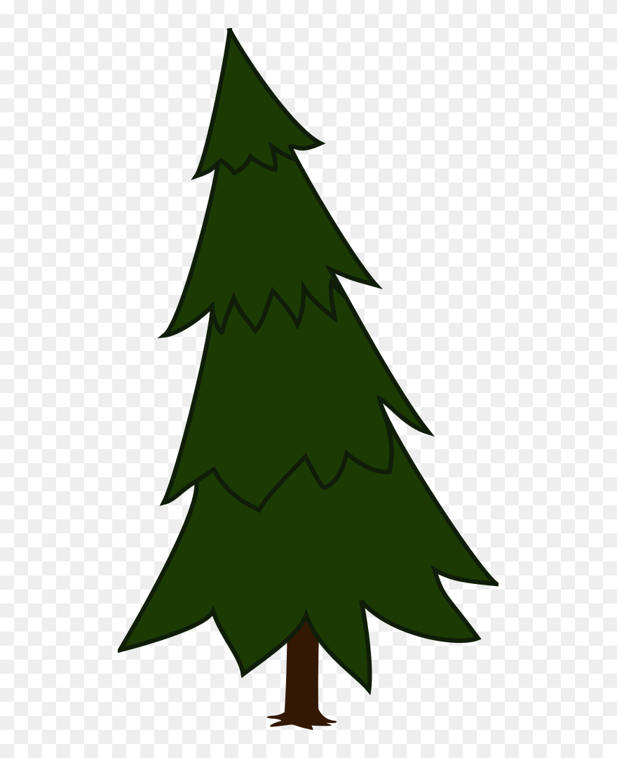 Eastern White Pine Conifers Spruce Clip Art - Tree Clipart Pine - Png Download