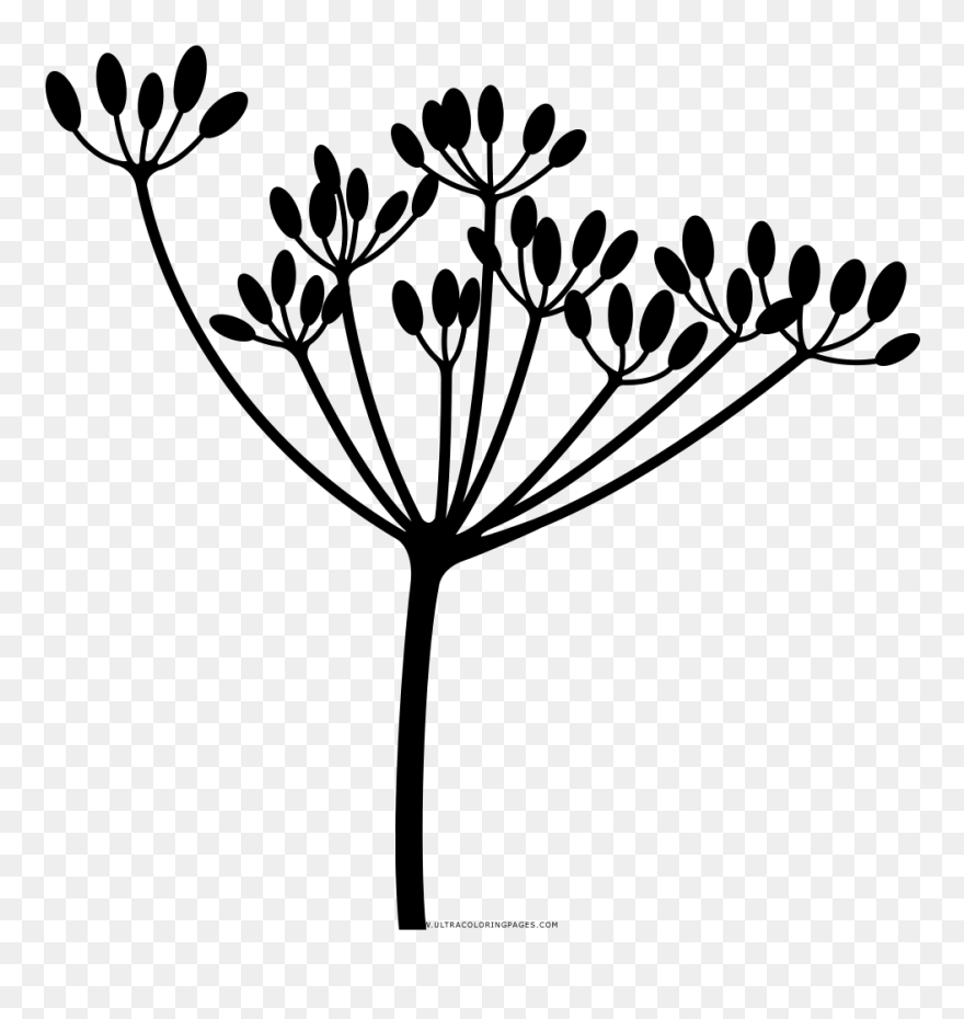 Transparent Dandelion Clip Art - Clip Art - Png Download