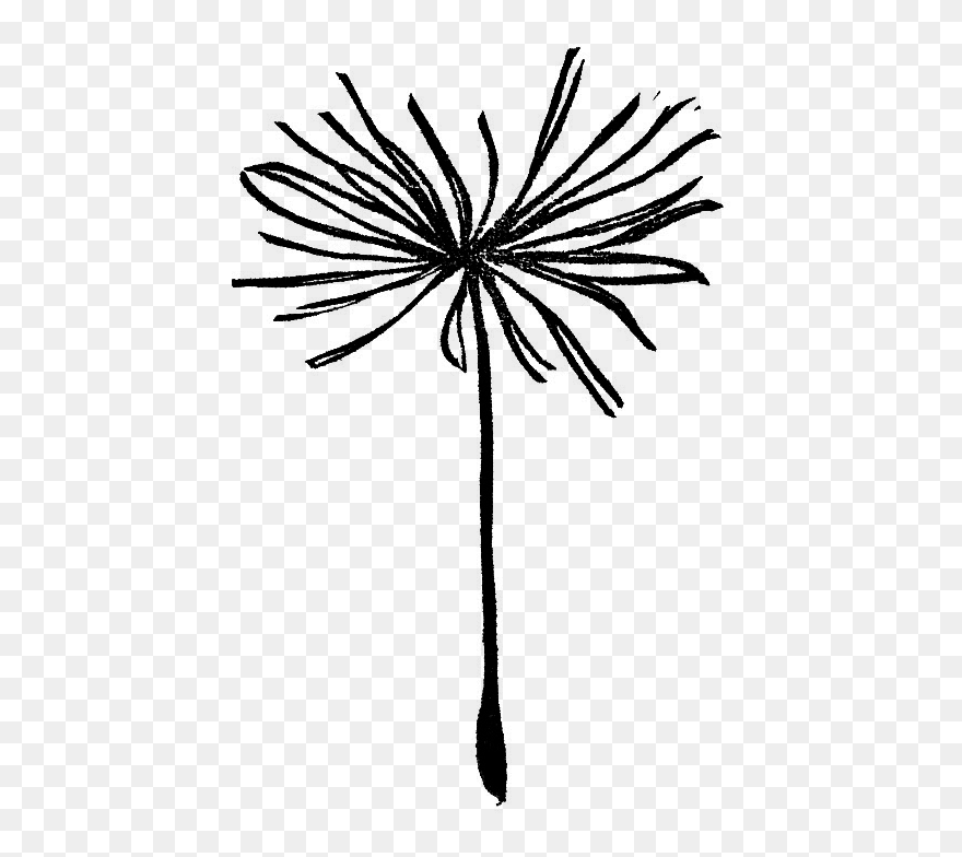 Clip Art - Png Download