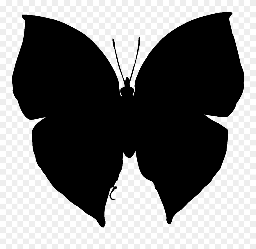 Brush-footed Butterflies Clip Art Silhouette Neck Black - Swallowtail Butterfly - Png Download