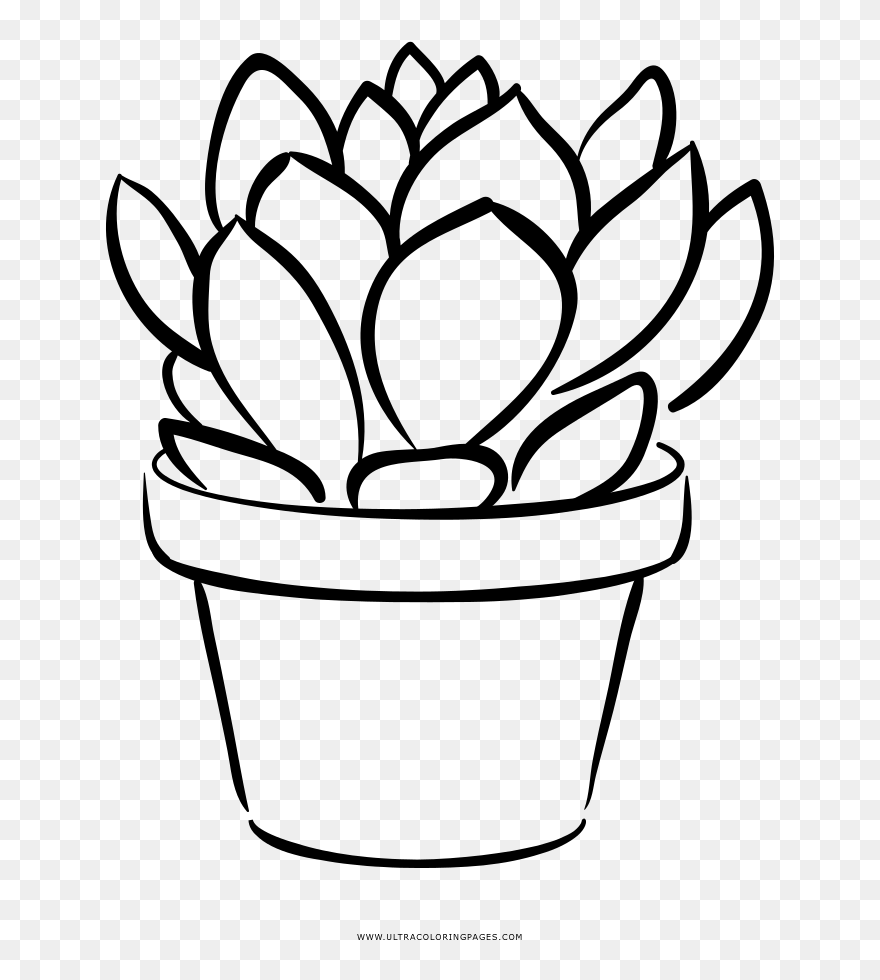 Line Art Clipart