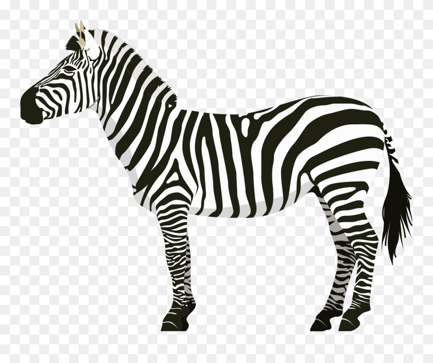 Zebra Unicorn Transparent Clipart