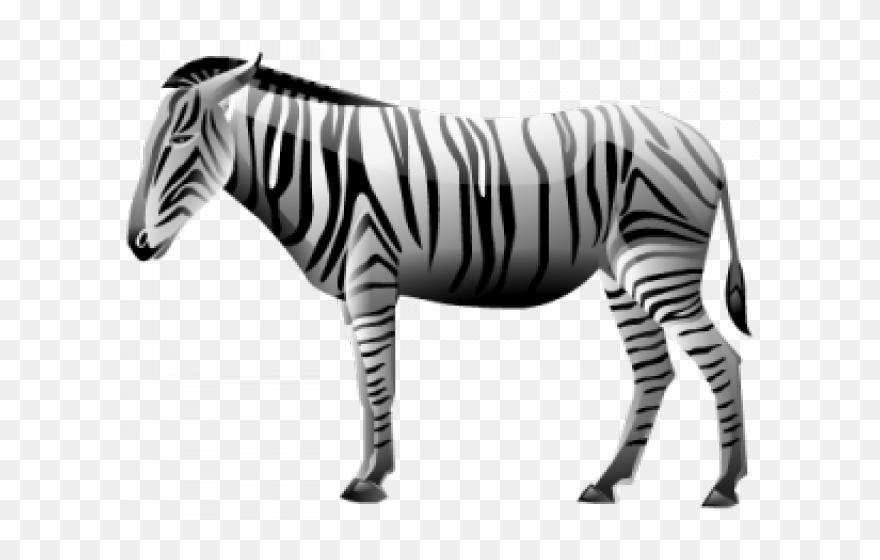 Zebra Png Transparent Images - Zebra Icon Transparent Clipart